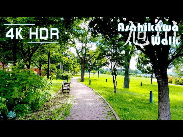 Late afternoon chill walk around a calm park in Asahikawa, Hokkaido, Japan | 4K HDR