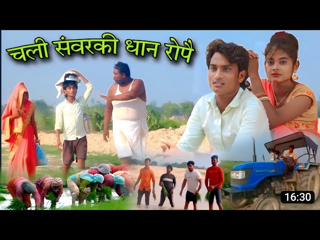 #चली_संवरकी_धान_रोपै 😂फिर आ गई #shailendra_gaur की और एक ट्रेंडिंग वीडियो #Chali_sanvarki_dhan_ropai