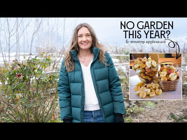 NO GARDEN This Year? | + Stovetop Applesauce