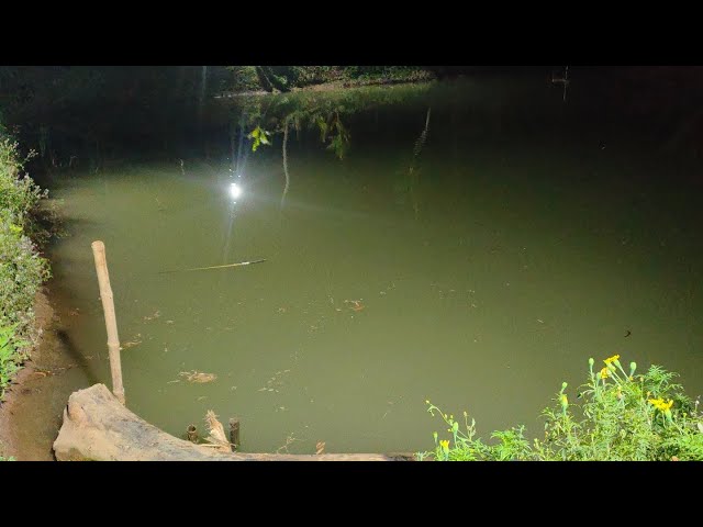 Night fishing acaci pond