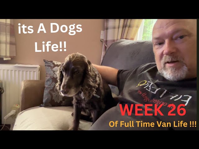 Van Life has gone to the dogs!!