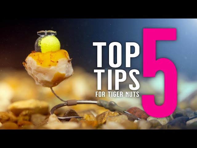 TOP 5 TIGER NUT TIPS For Catching More Carp! (Including 2 Carp Rigs) Mainline Baits Carp Fishing TV