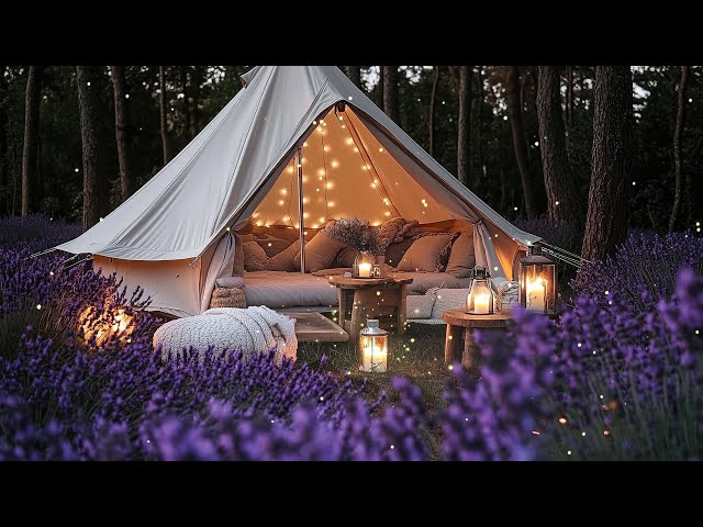 Camp in the middle of the flower garden, relax with the sounds of the forest and soft music