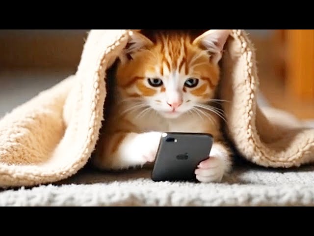 Vairl  funny  Animal Videos 2025 😁 Funny Dogs and Cats That’ll Instantly Boost Your Mood!