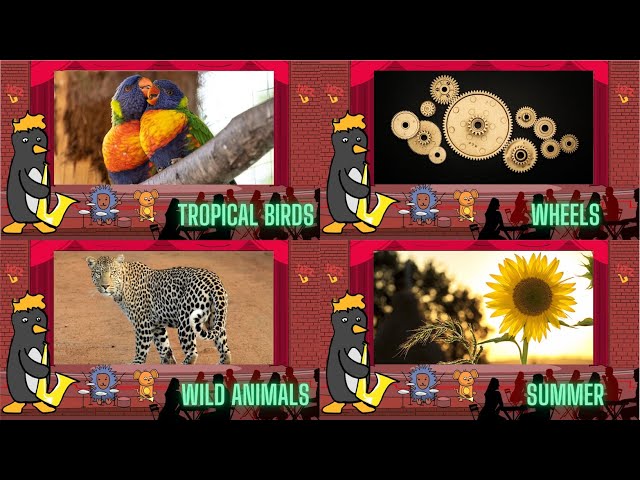 Jazz Baby: Tropical Birds, Wheels, Wild Animals & Summer by Oxbridge Baby