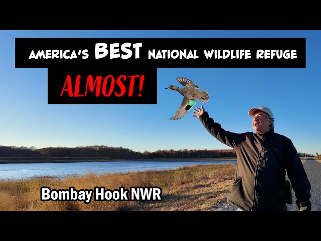 This is ALMOST America's Best National Wildlife Refuge