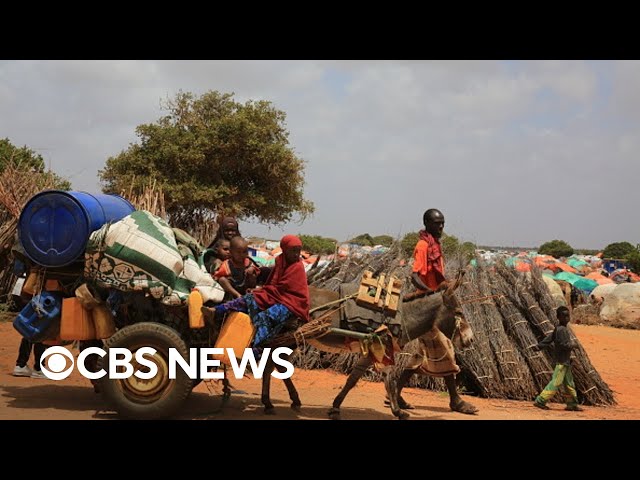 Somalia facing widespread famine during worst drought in 40 years