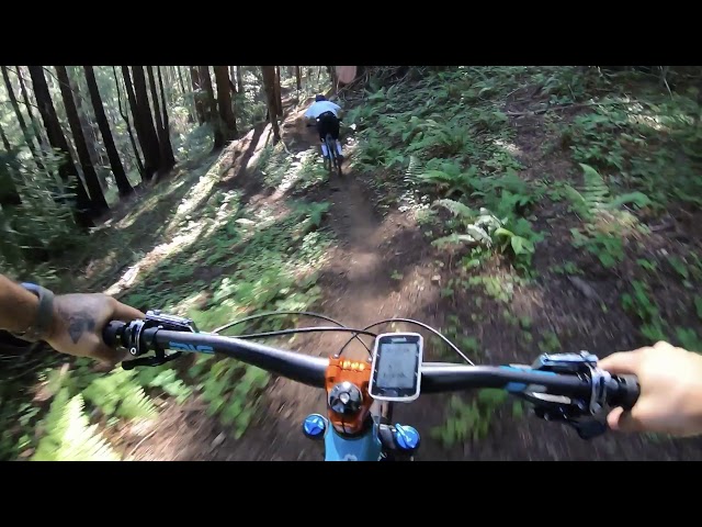 MTB Flow trail