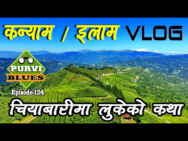 KANYAM ILAM VLOG || कन्याम इलामको यात्रा || चियाबारीमा लुकेको पीडा ।  Trip to Kanyam Ilam