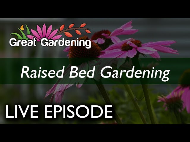 LIVE EPISODE: Great Gardening - Raised Beds