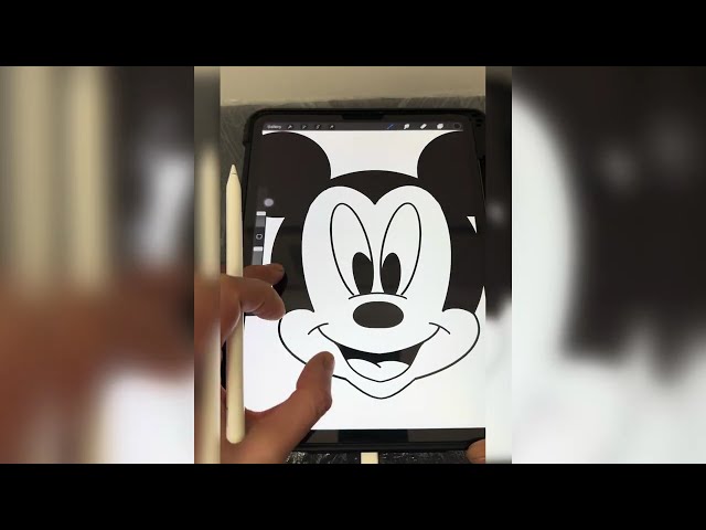 Mirror Drawing in Procreate / #mickeymouse