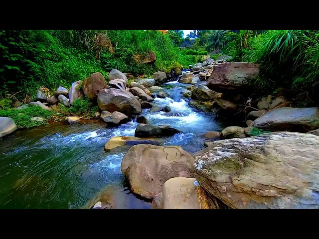 Melodious Rhythm of the Flowing Water in the River with a View of the Rocks Stretching Out