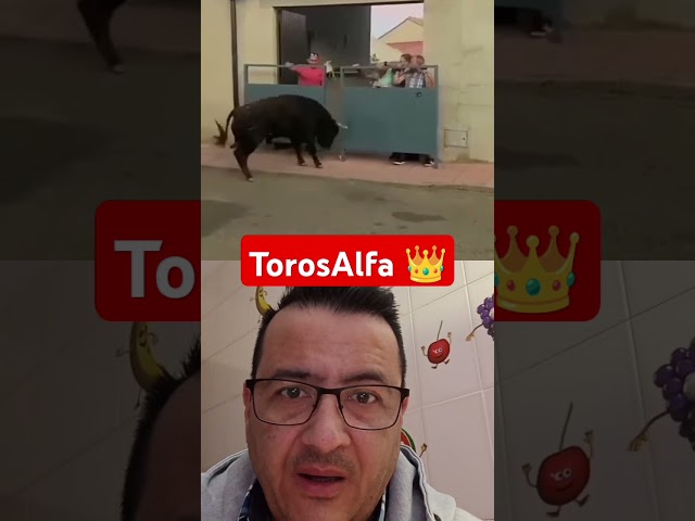 🔴 El toro bravo negro se escapa y levanta la barrera de hierro. #toros #bull #toronegro #torosbravos