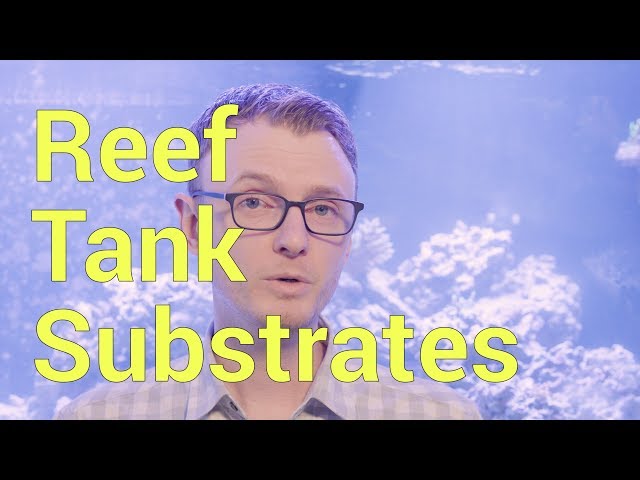 Reef Tank Substrates; Sand, Bare, or StarBoard for your tank?