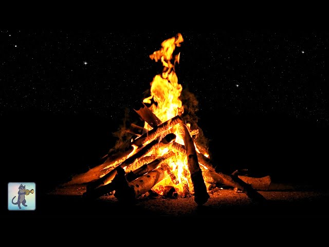 Cozy Campfire at Night! (with Stars) 4K 🔥 Relaxing Campfire / Fireplace Sounds 🔥 12 HOURS • NO MUSIC