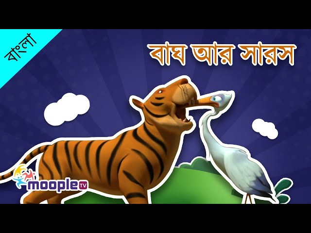 বাঘ ও সারস | Tiger and Stork |  Bangla Cartoon Story | Bengali Rupkothar Golpo | Moople TV Bangla