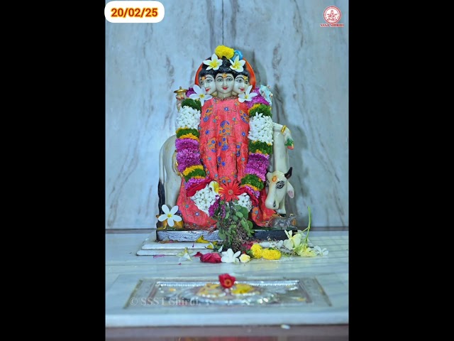 Sai Baba Darshan Live 20/02/25