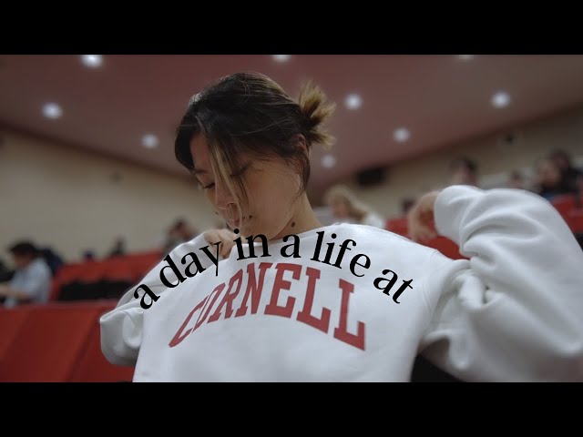 a day in a life at Cornell | lots of talking, studying, cooking, mini haul, 코넬 브이로그, 미니 하울, 미국 대학생