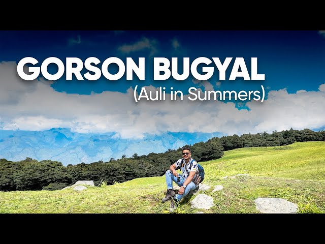 Gorson Bugyal | Auli in Summers