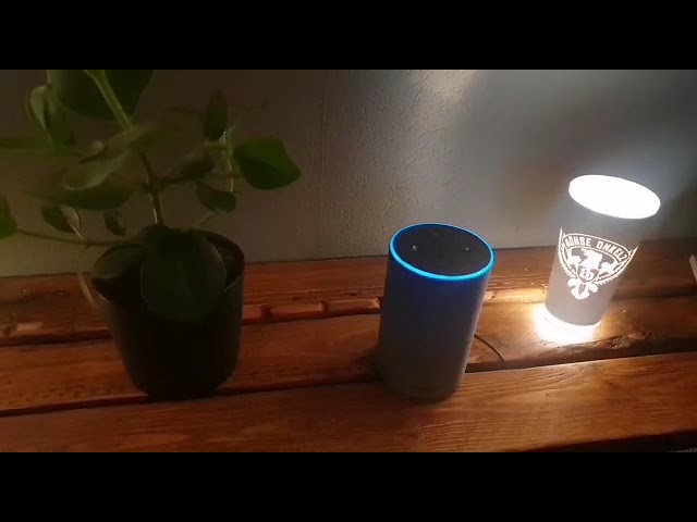 Alexa Spricht