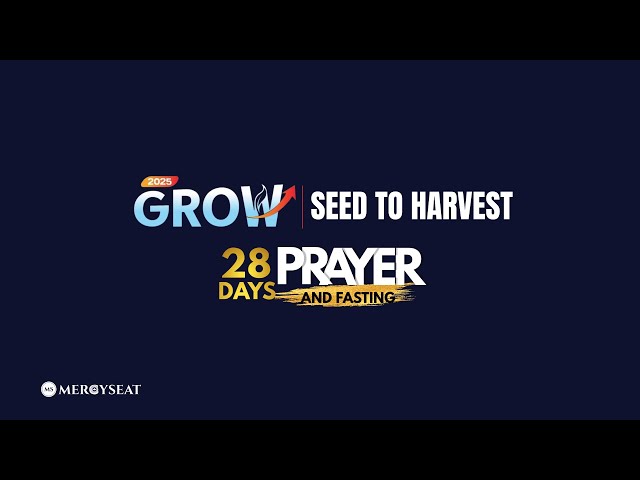 Day 26 | Seed to Harvest Prayer