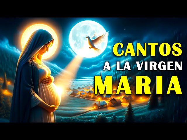 LA CANCIÓN DE LA VIRGEN MARIA MAS HERMOSA DEL MUNDO 2025__INTENTA ESCUCHAR ESTA CANCIÓN SIN LLORAR