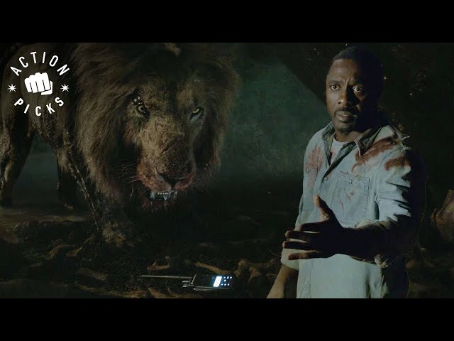 Lion Kills Group Of Poachers | Beast