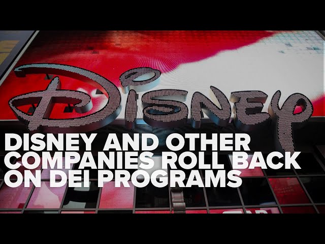 Goldman Sachs, PBS & Disney all rolled back DEI programs this week