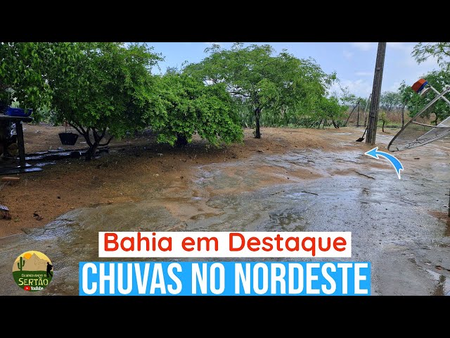 Chuvas no Nordeste: E parte da Bahia voltou a ter chuva v156