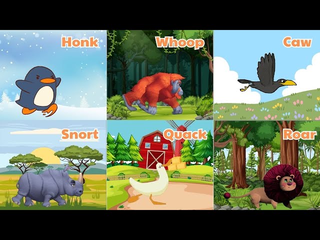 Animal Sounds Song N8T2 | Animal Song Nursery Rhymes For Kids | Kids TV Education