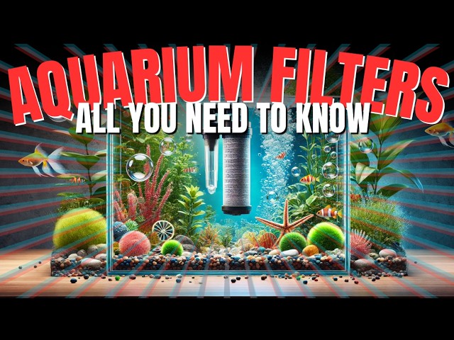 The Complete Guide to Aquarium Filters - Which One is Right for You?