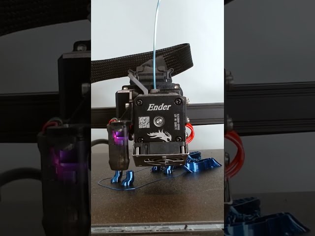 Cat A** Trophy - Ender 3 S1 Pro