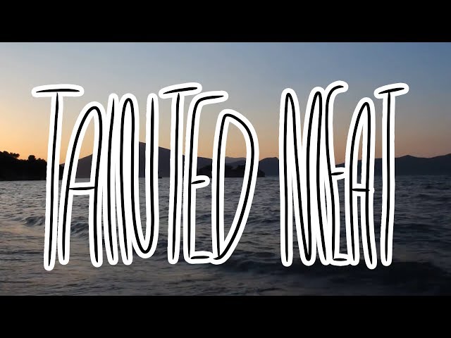 NateIsLame - Tainted Meat (Official Lyric Video)