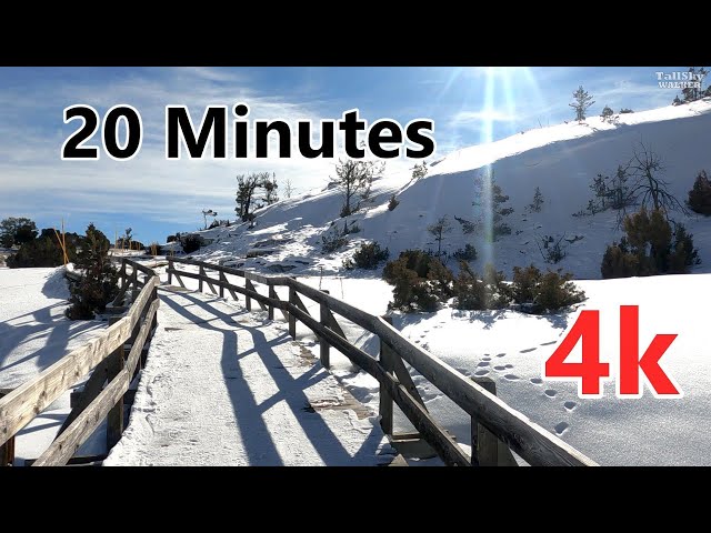 Virtual Treadmill Trail Run: Snow, Yellowstone's Mammoth Hot Springs Terraces 4K - 1/29/25