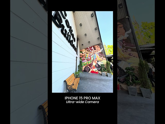 iPhone 15 Pro Max vs HONOR Magic6 Pro Camera Samples