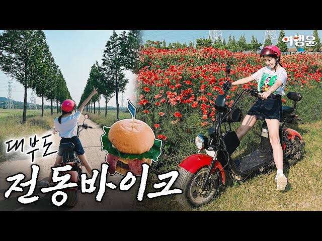 🏍️ 나는야 베스트 드라이버 | 대부도 전동바이크 후기 | 🐔🦶 아침부터 닭발 뜯는 여자 어떤데..? | #대부도가볼만한곳 #대부도 #korea #trip