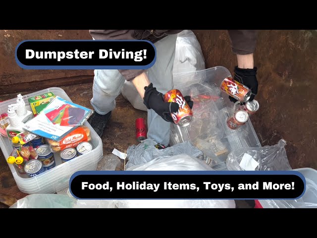 Dumpster Diving! We Found Food, Holiday Items, Tons of Toys, and More!