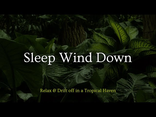 Fall asleep FAST to soothing rainfall sounds in a tranquil tropical valley