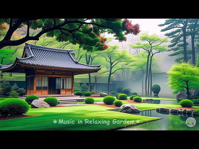 🌿Relaxing Piano Music & Nature Sounds🌿Calm Music, Meditation Music🌿 Work, Bamboo🌿🌿 #live1