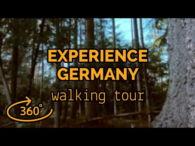 360° VR Walking Tour - Massive Sand Pit In Beautiful German Forest