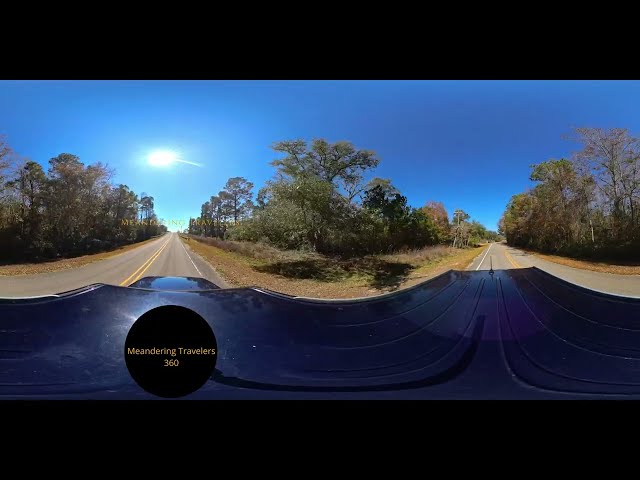 🦆 360 Degree Big Branch Marsh National Wildlife Refuge 🐊