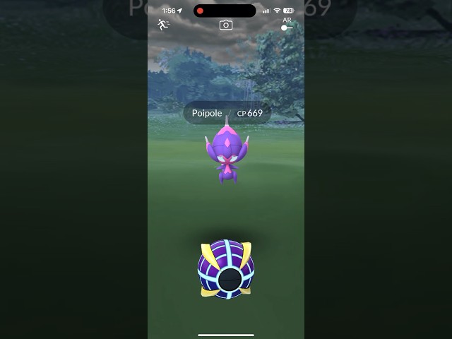 New Pokémon Go Ball?