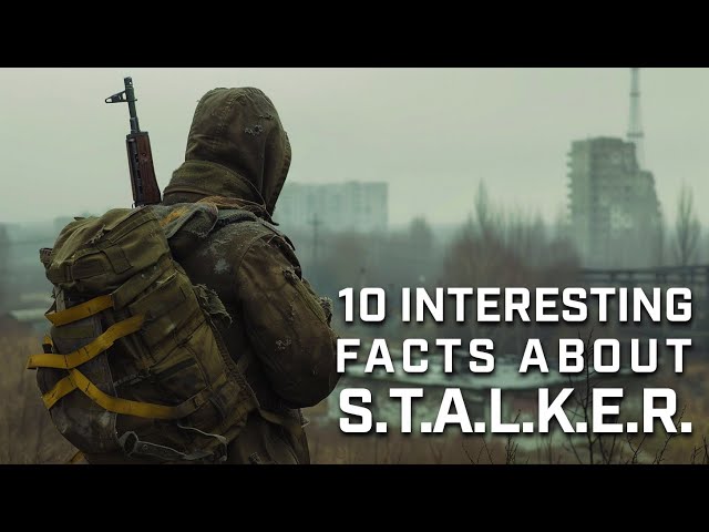 10 Interesting facts about Stalker