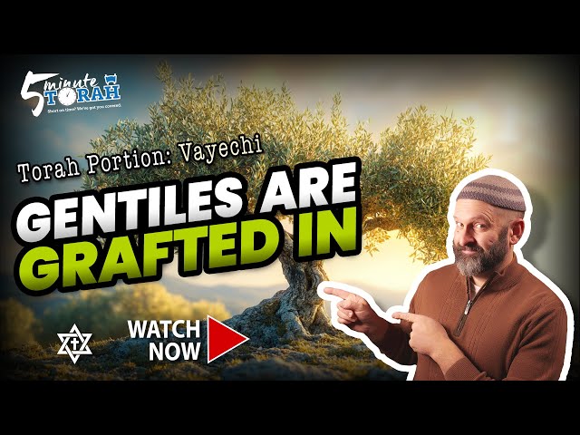 Vayechi | 5 Minute Torah | Messianic Commentary on the weekly Torah Portion