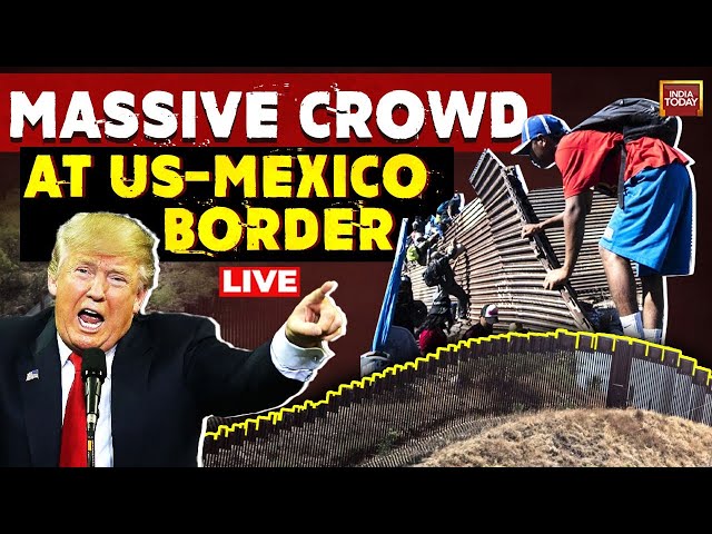 US-Mexico Border LIVE: Migrant Line Up At US-Mexico Border|Trump's Mass Deportation Plan Builds Fear