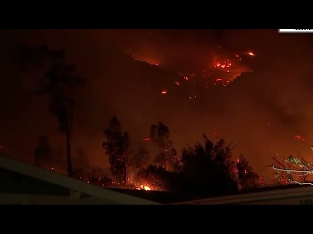 Multimillion Dollar Houses Burning in Los Angeles Wildfires #wildfire #firestorm #fire #la #usa #usd