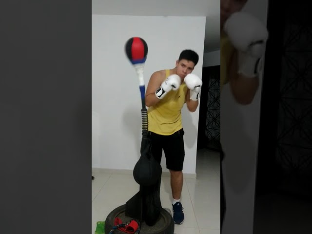 Boxing reflexing with the reflex bag