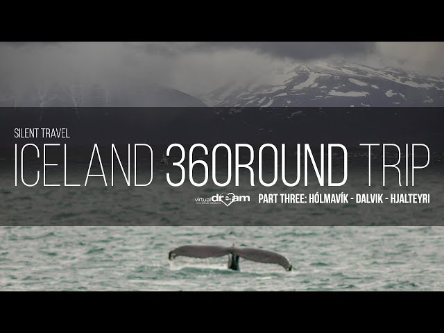 Silent Travel VR 360- Iceland Round Trip Part 03 ASMR | Dalvik - Hjalteyri