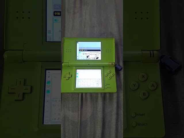 Art academy (actual ds lite hardware) (video 23)