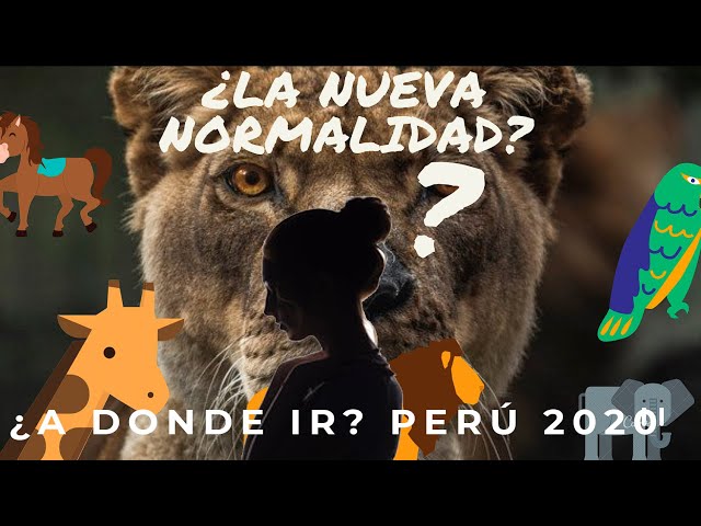 VIAJAR EN LA NUEVA NORMALIDAD LIMA PERU 2020- PARQUE DE LAS LEYENDAS -VAMONOS PERU